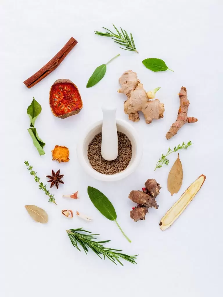 herbs, spices
